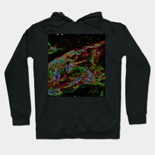 Black Panther Art - Glowing Edges 421 Hoodie